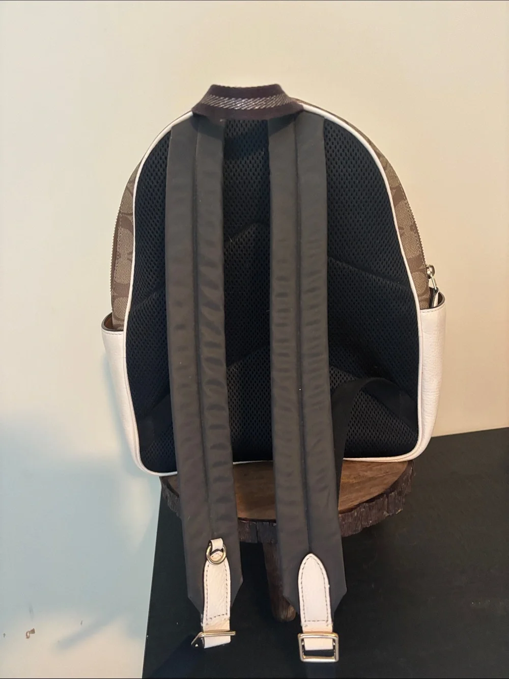 Coach backpack everyday